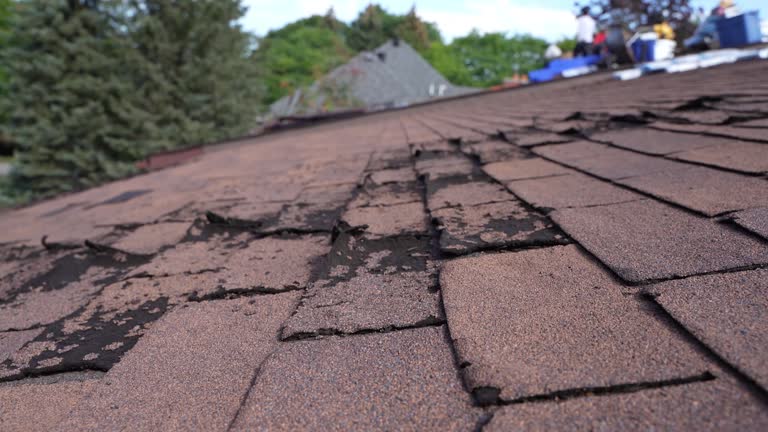 Best Roof Leak Repair  in Racine, WI