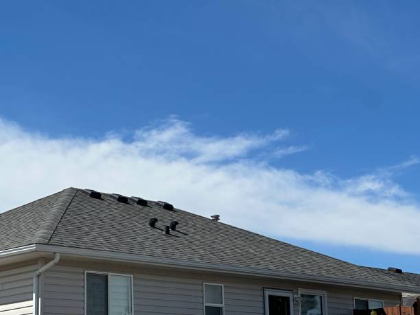 Best Rubber Roofing (EPDM, TPO)  in Racine, WI